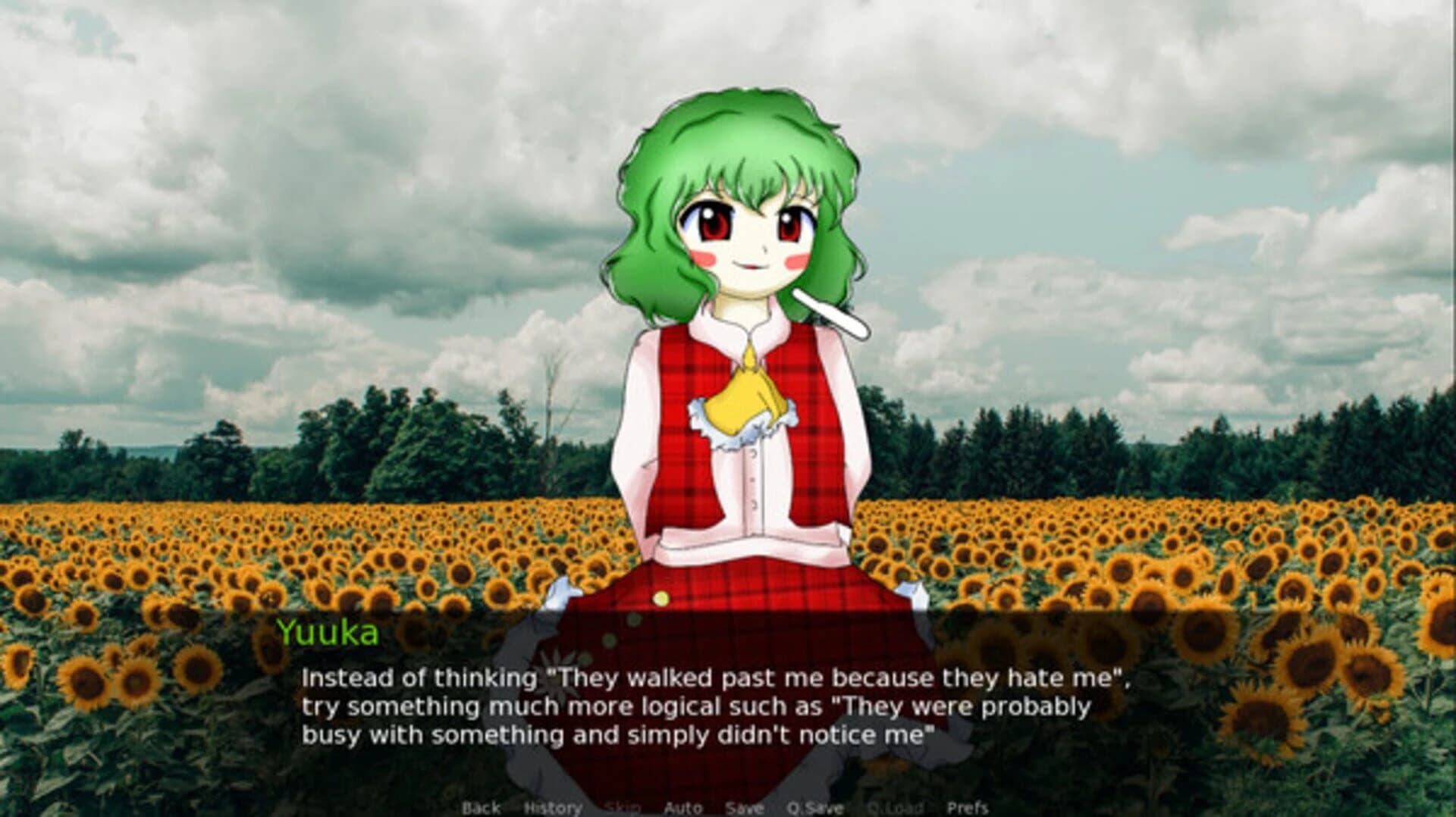 CBT With Yuuka Kazami screenshot 4