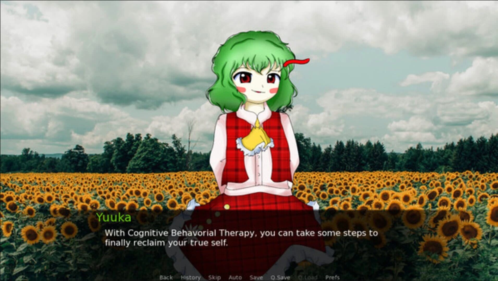CBT With Yuuka Kazami screenshot 3