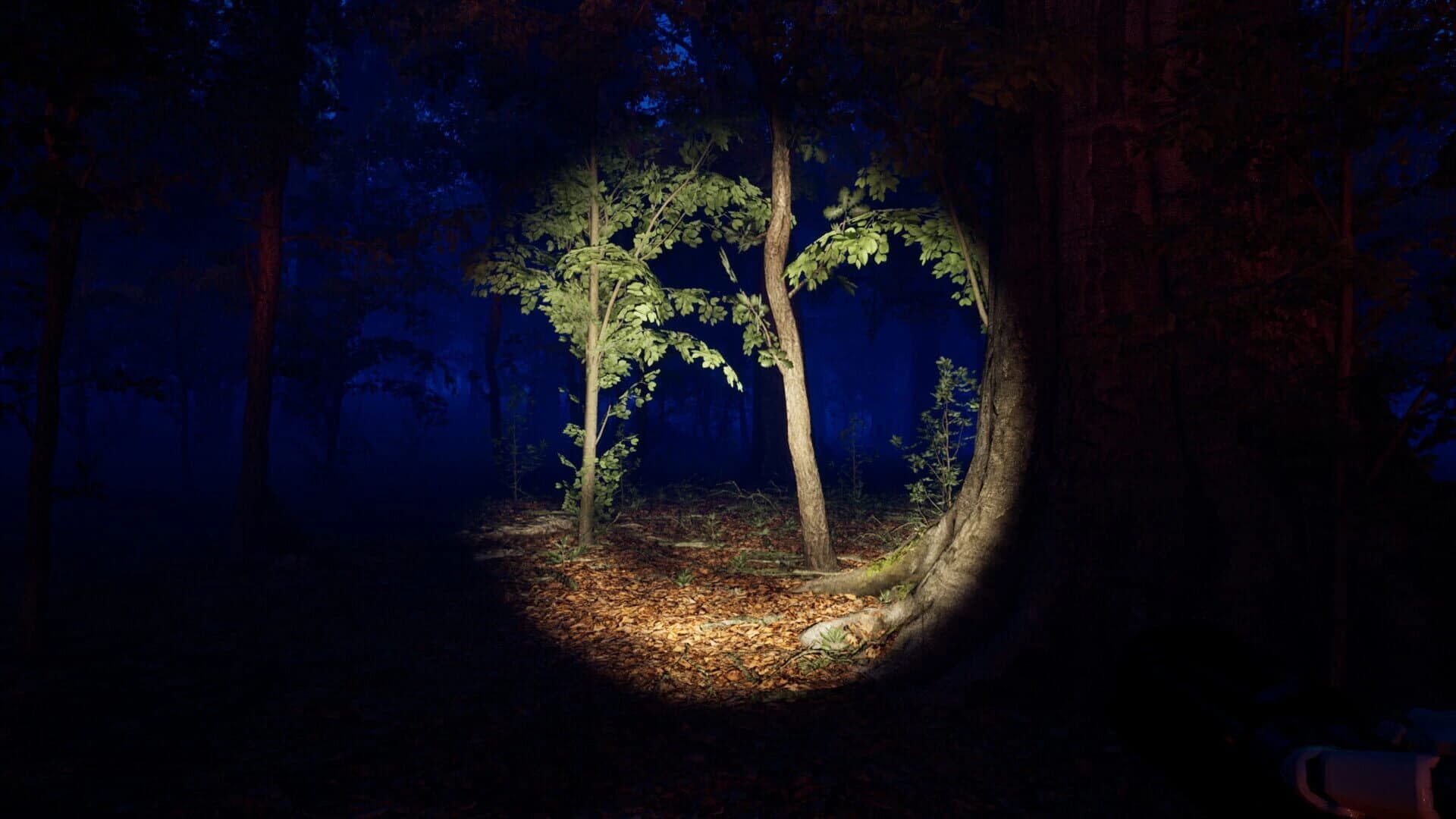 Cecil Hollow screenshot 4