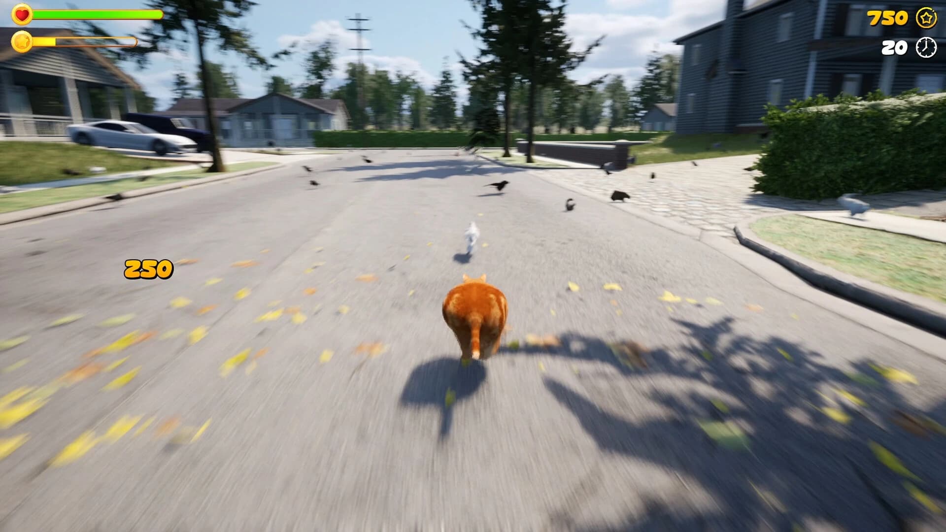 Chonky Cat screenshot 3