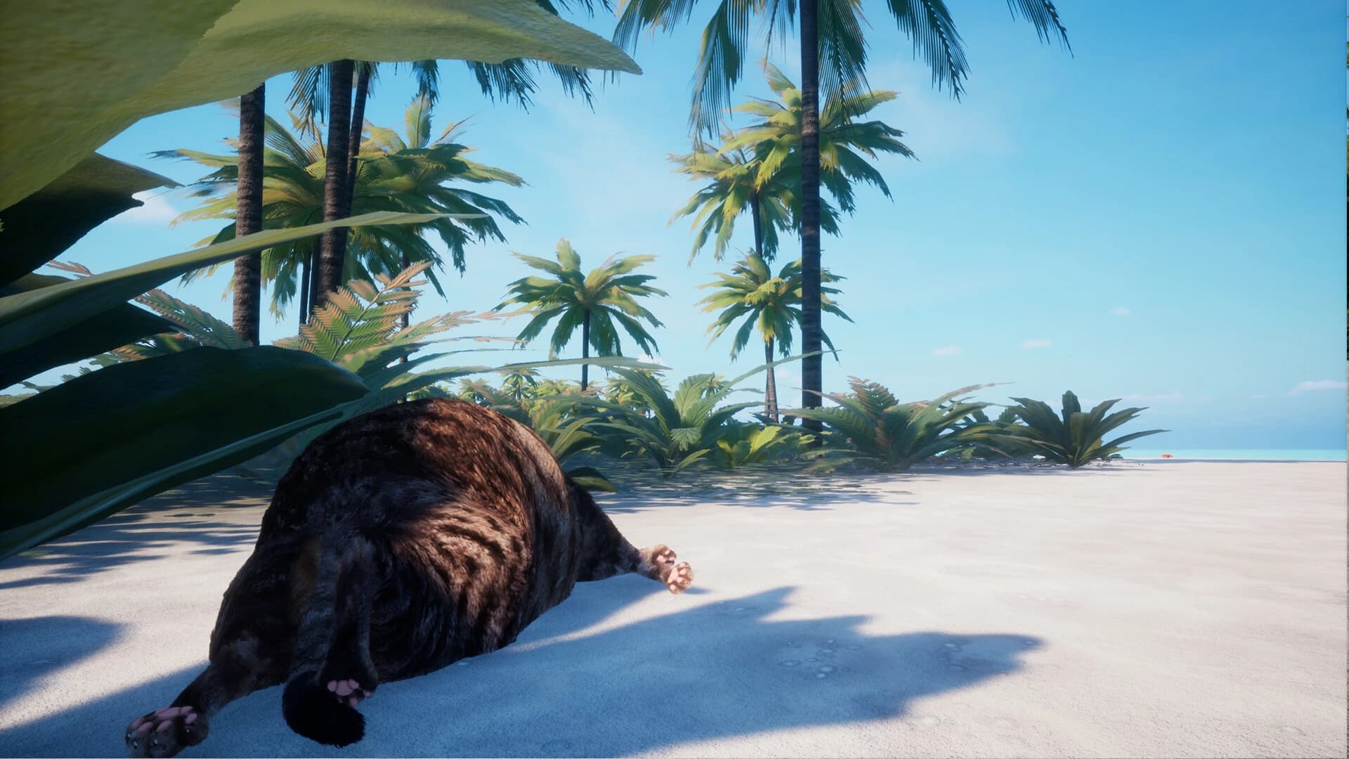 Chonky Cat screenshot 2