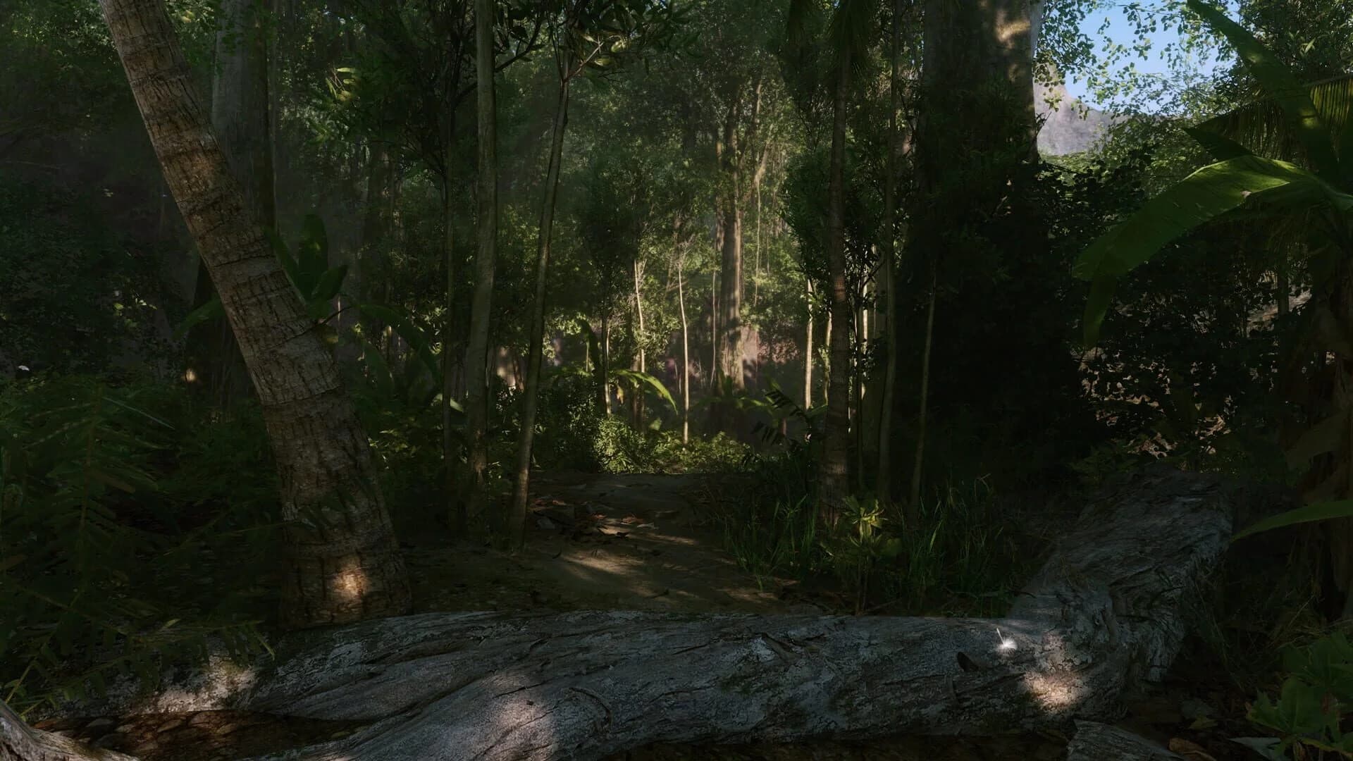 Crysis Remastered screenshot 2