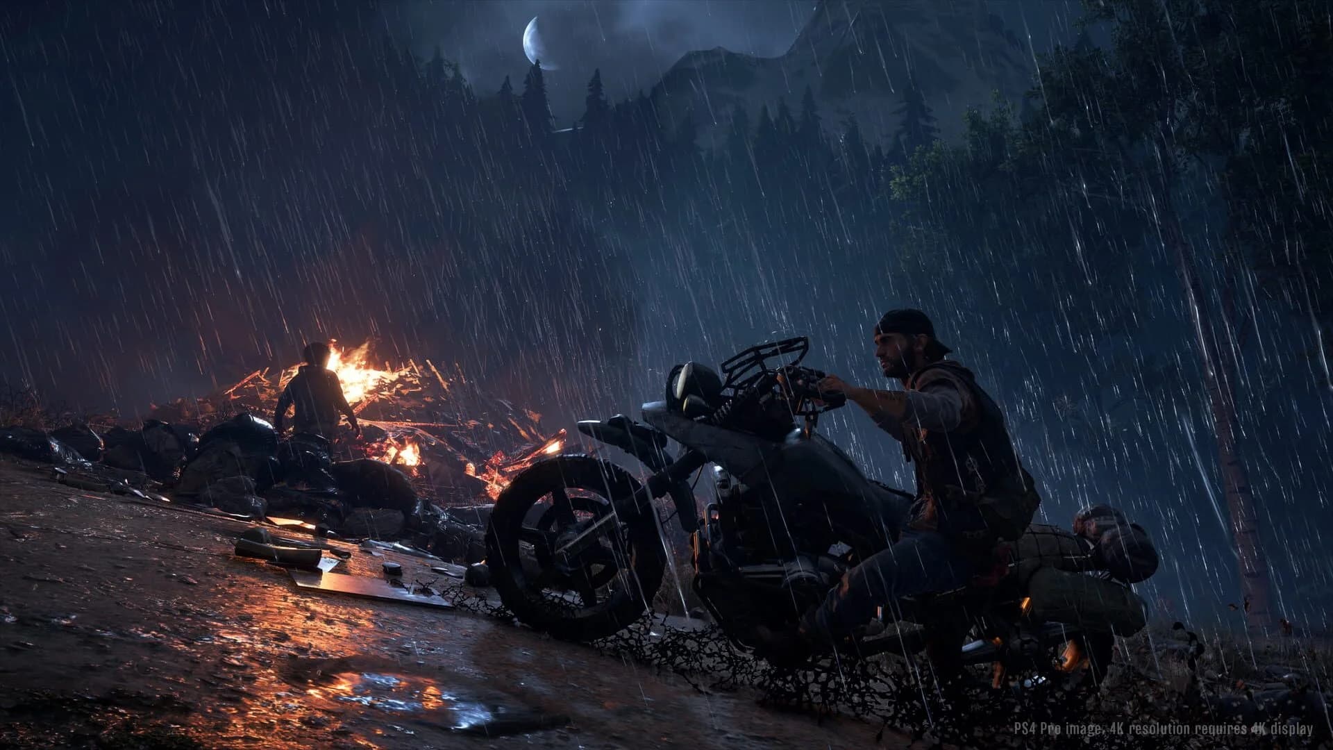 Days Gone screenshot 3
