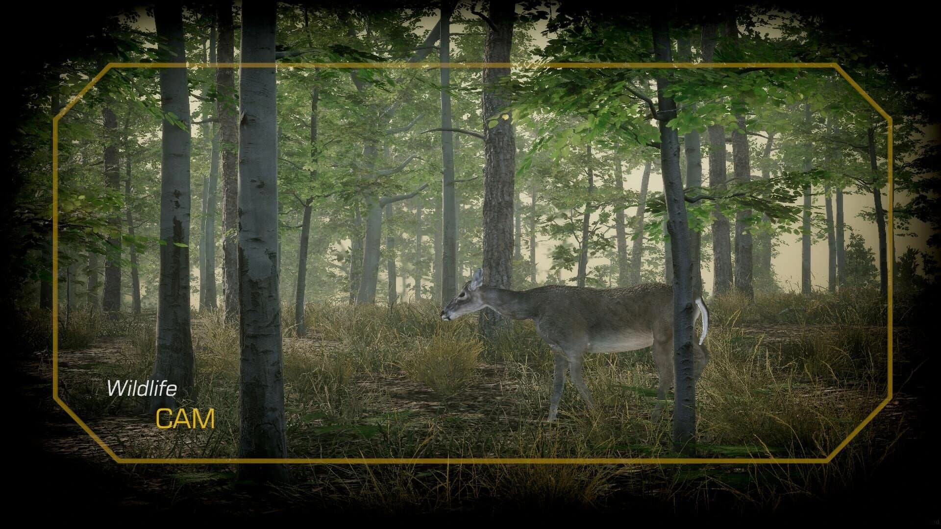 Deer Hunting Camp screenshot 4