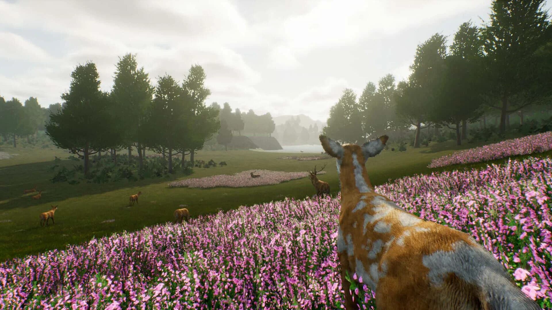Deer Journey screenshot 4