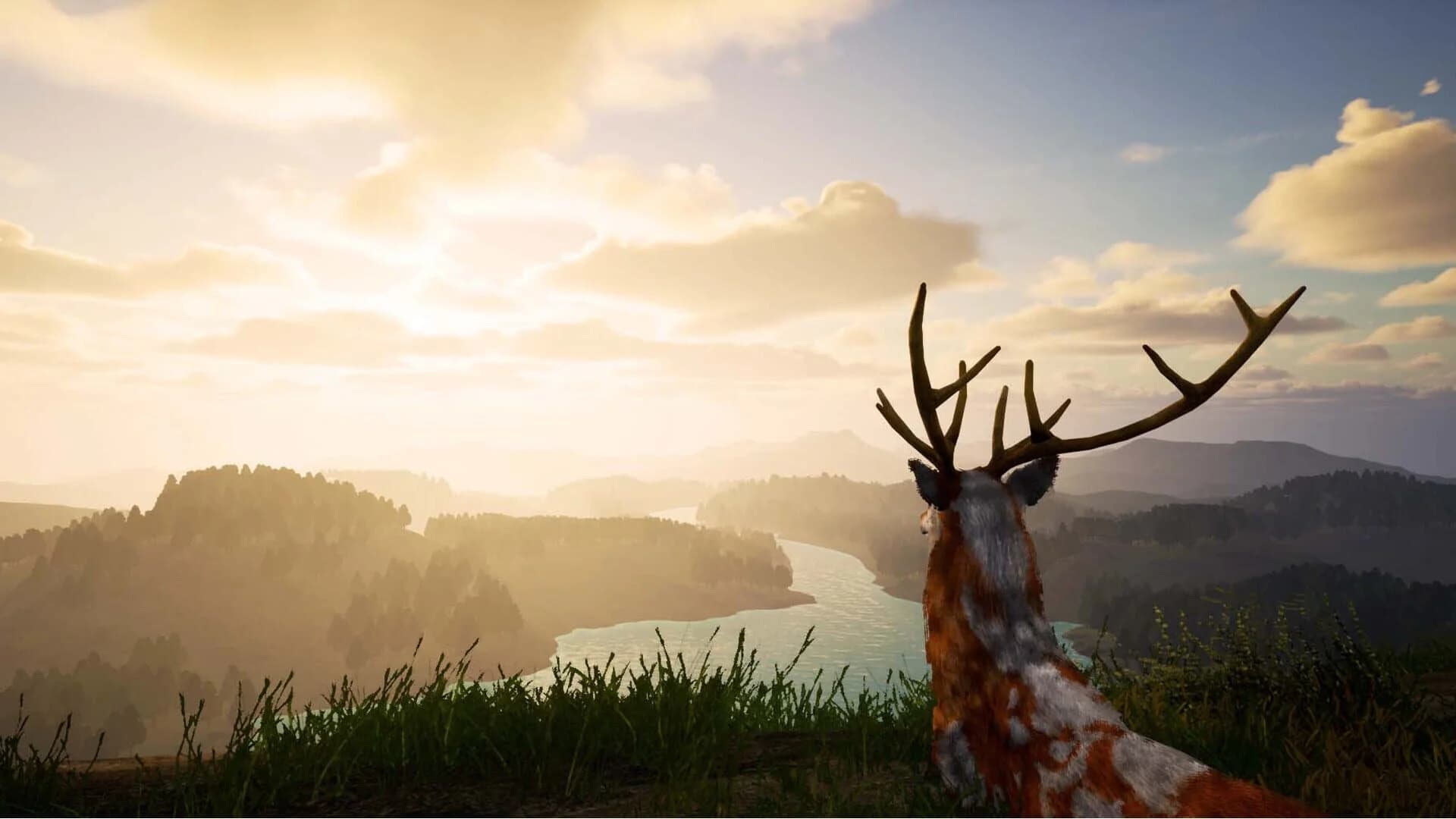 Deer Journey screenshot 1