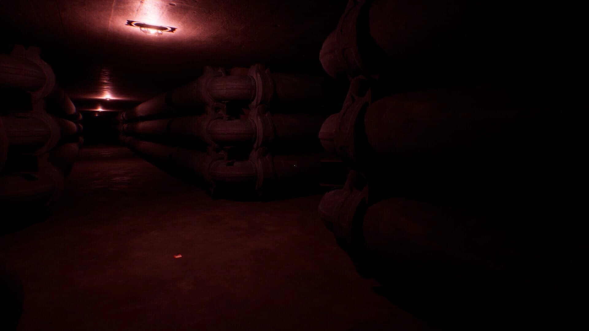 Deja Vu: The Backrooms screenshot 5