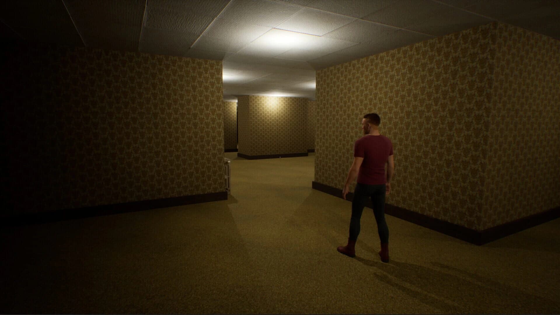 Deja Vu: The Backrooms screenshot 2