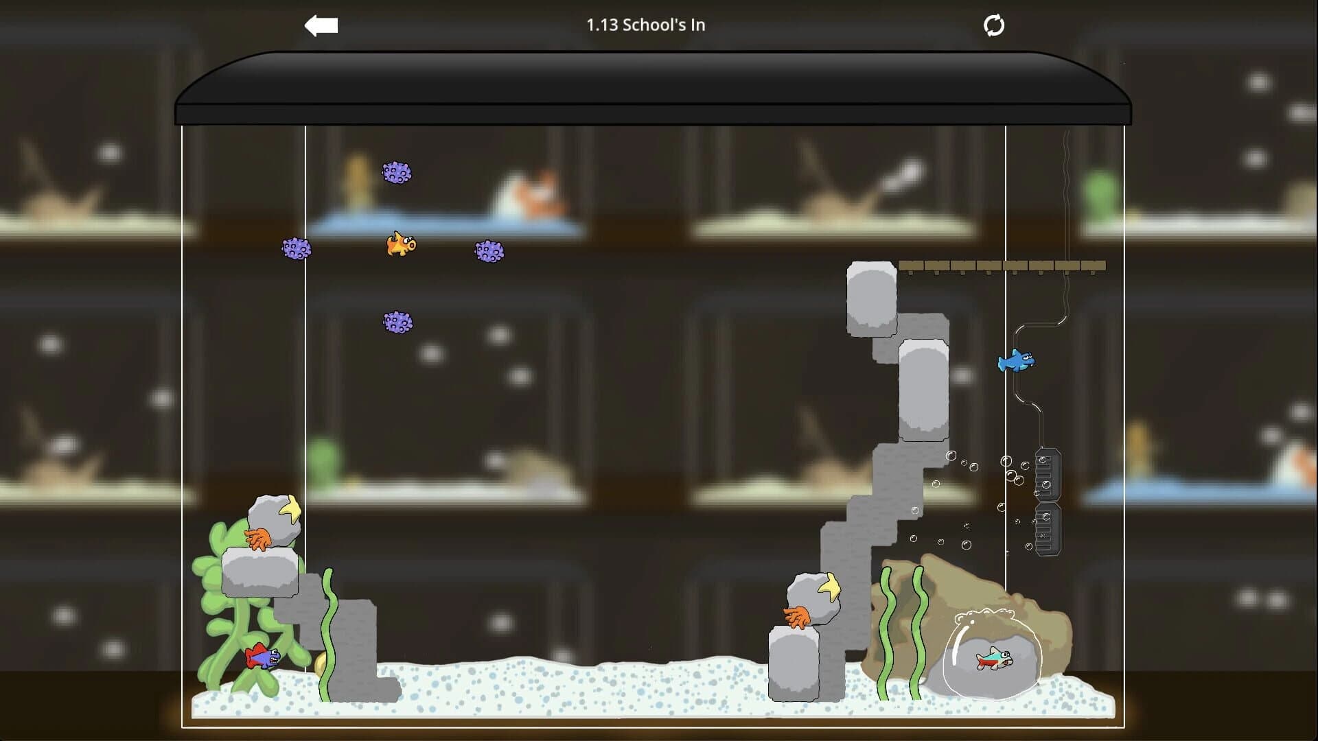 Derpy Fish screenshot 1