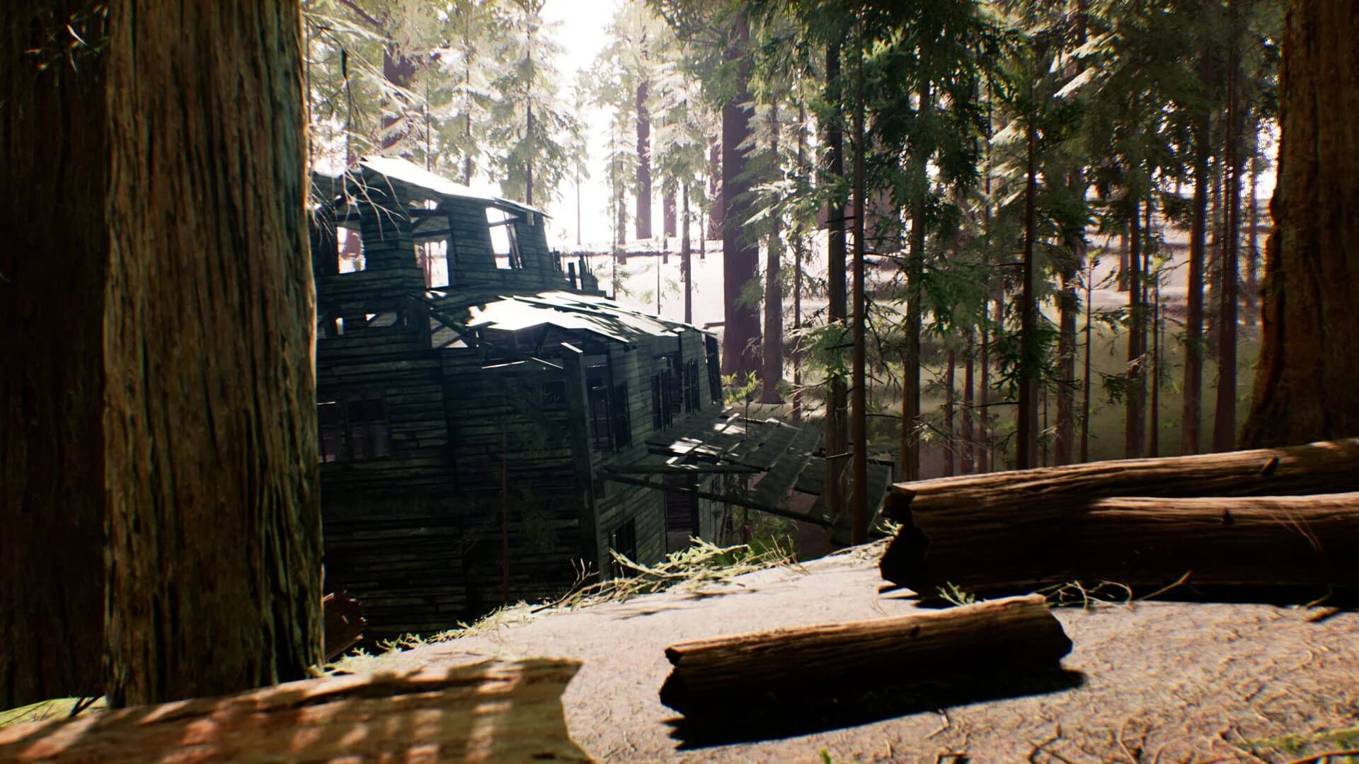 Diastone: Memories screenshot 1