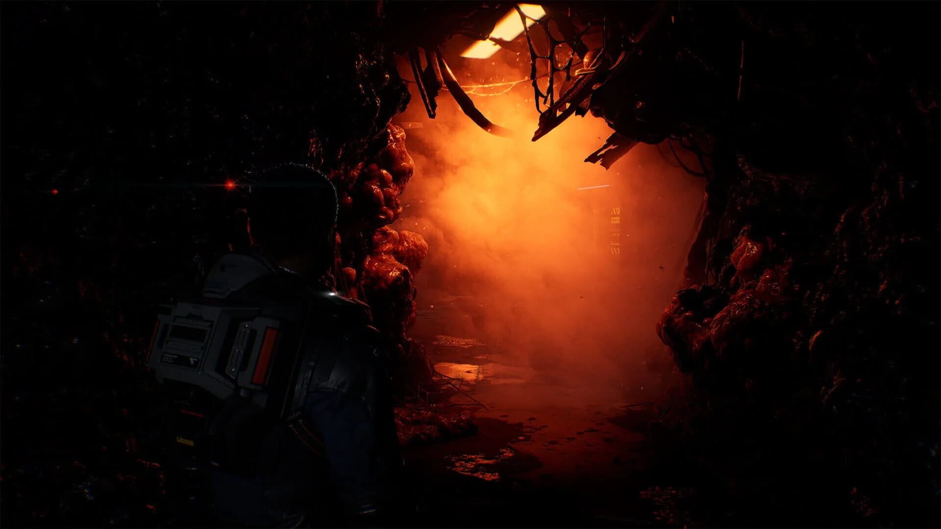 Directive 8020 screenshot 6