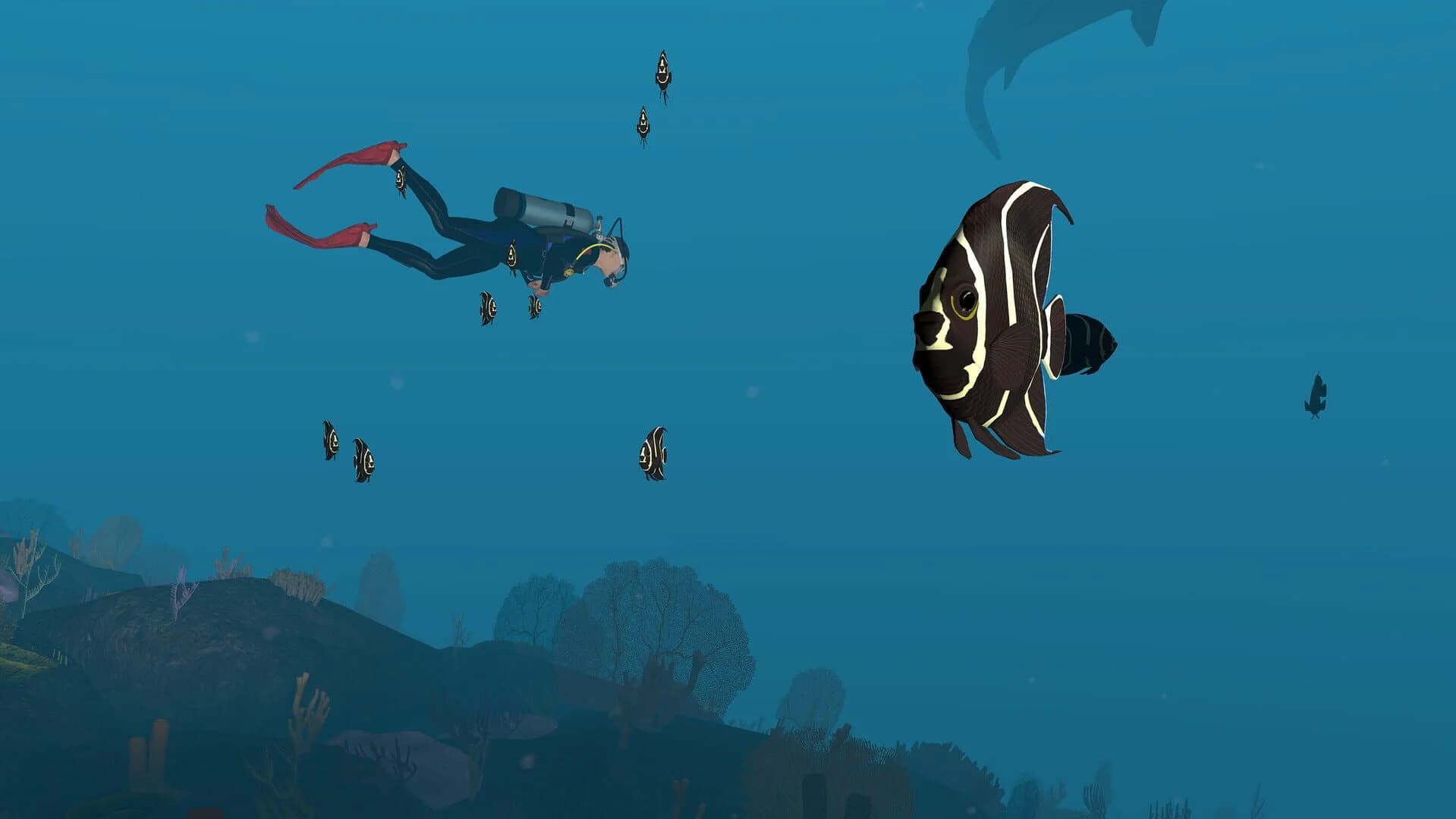 Dive with Sylvia VR screenshot 1
