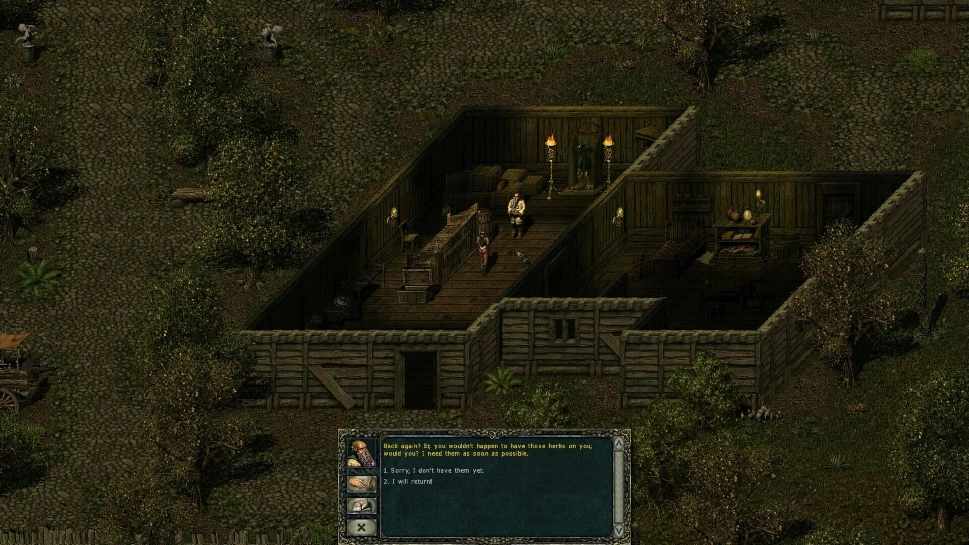 Divine Divinity screenshot 2