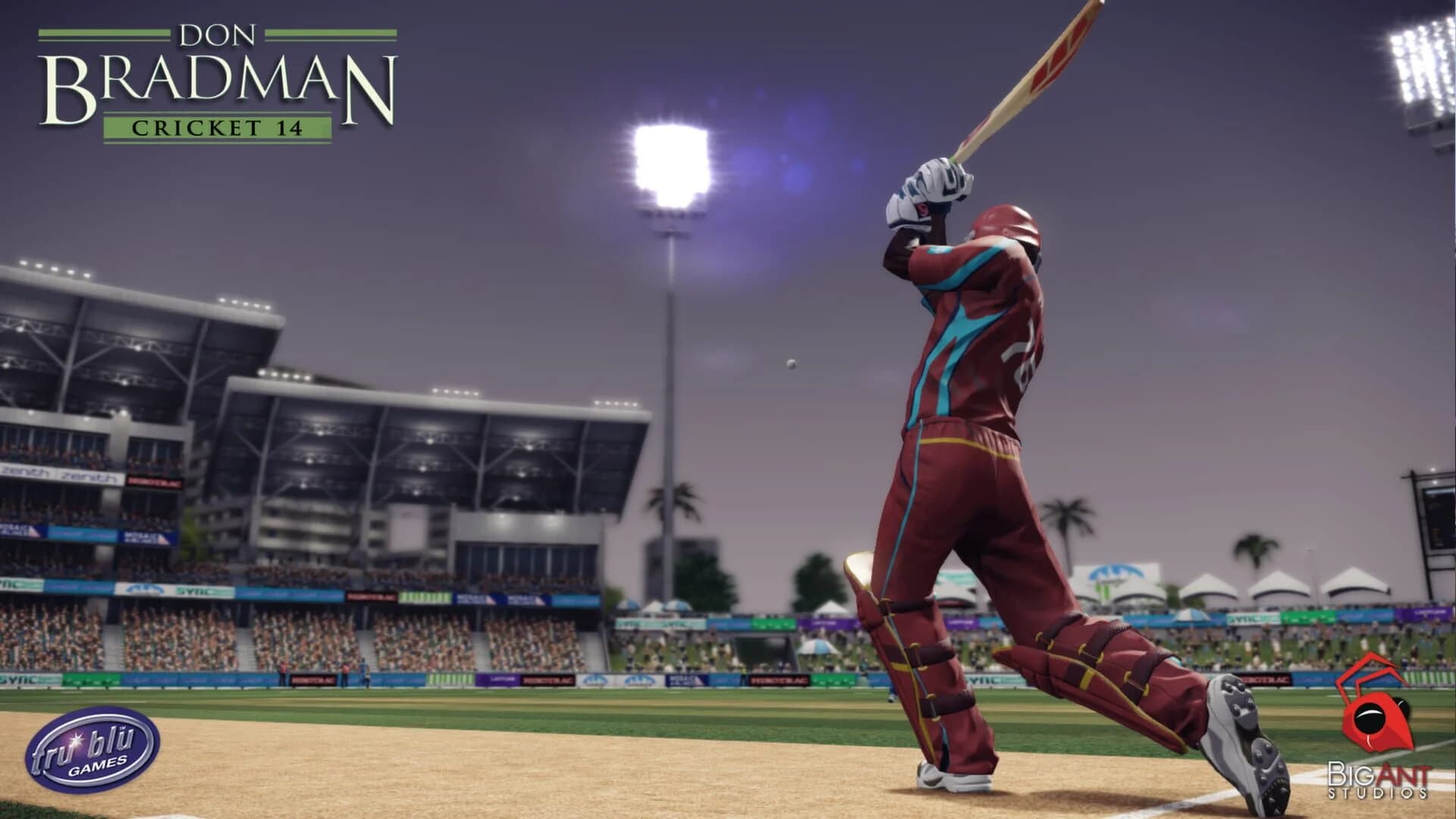 Don Bradman Cricket 14 screenshot 3