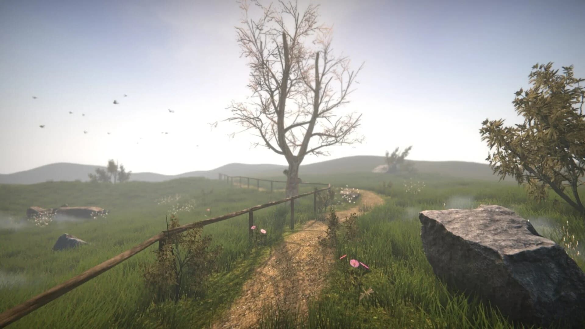 Dr. Emmerson's Nocturnes screenshot 4