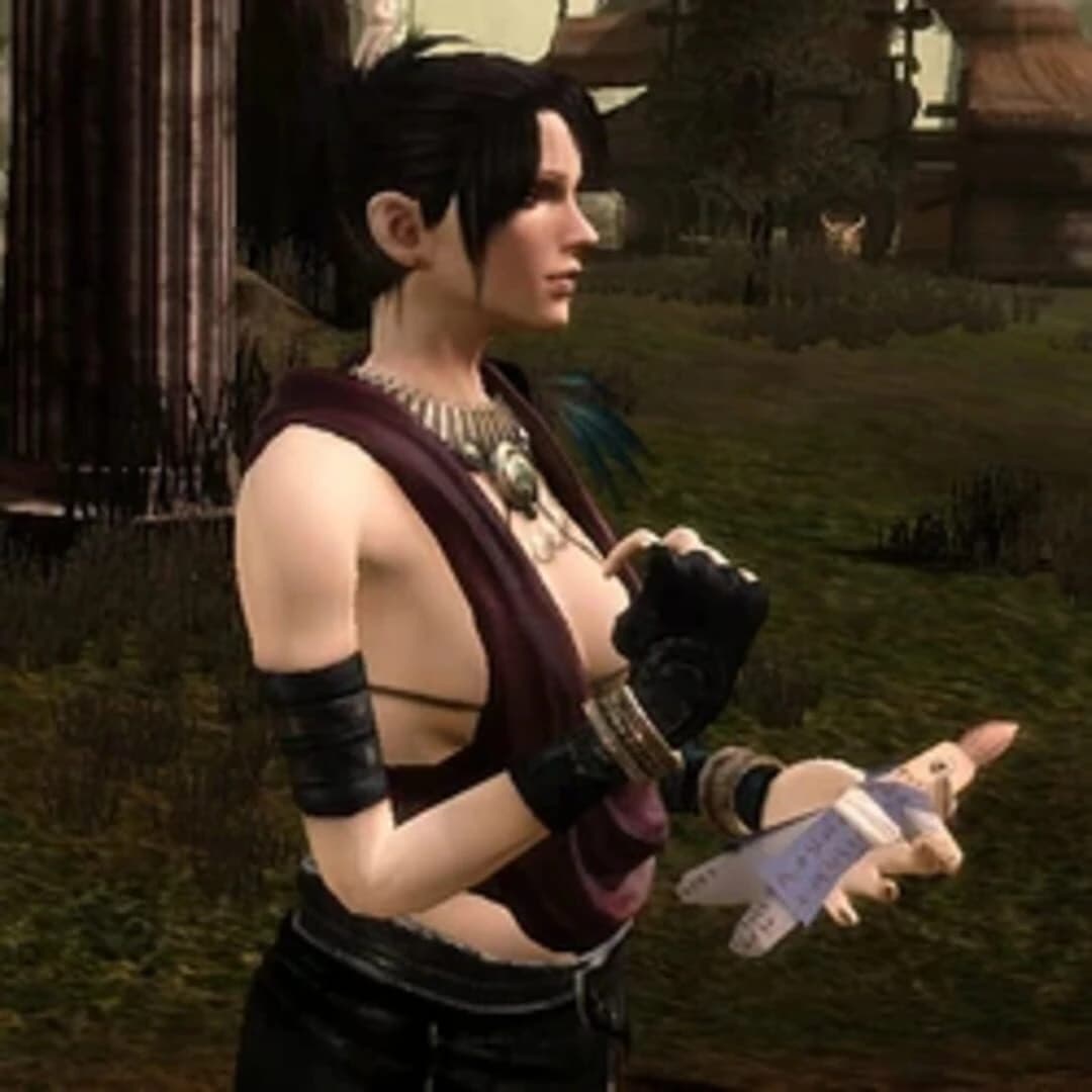 Dragon Age: Origins - Feastday Gifts screenshot 1