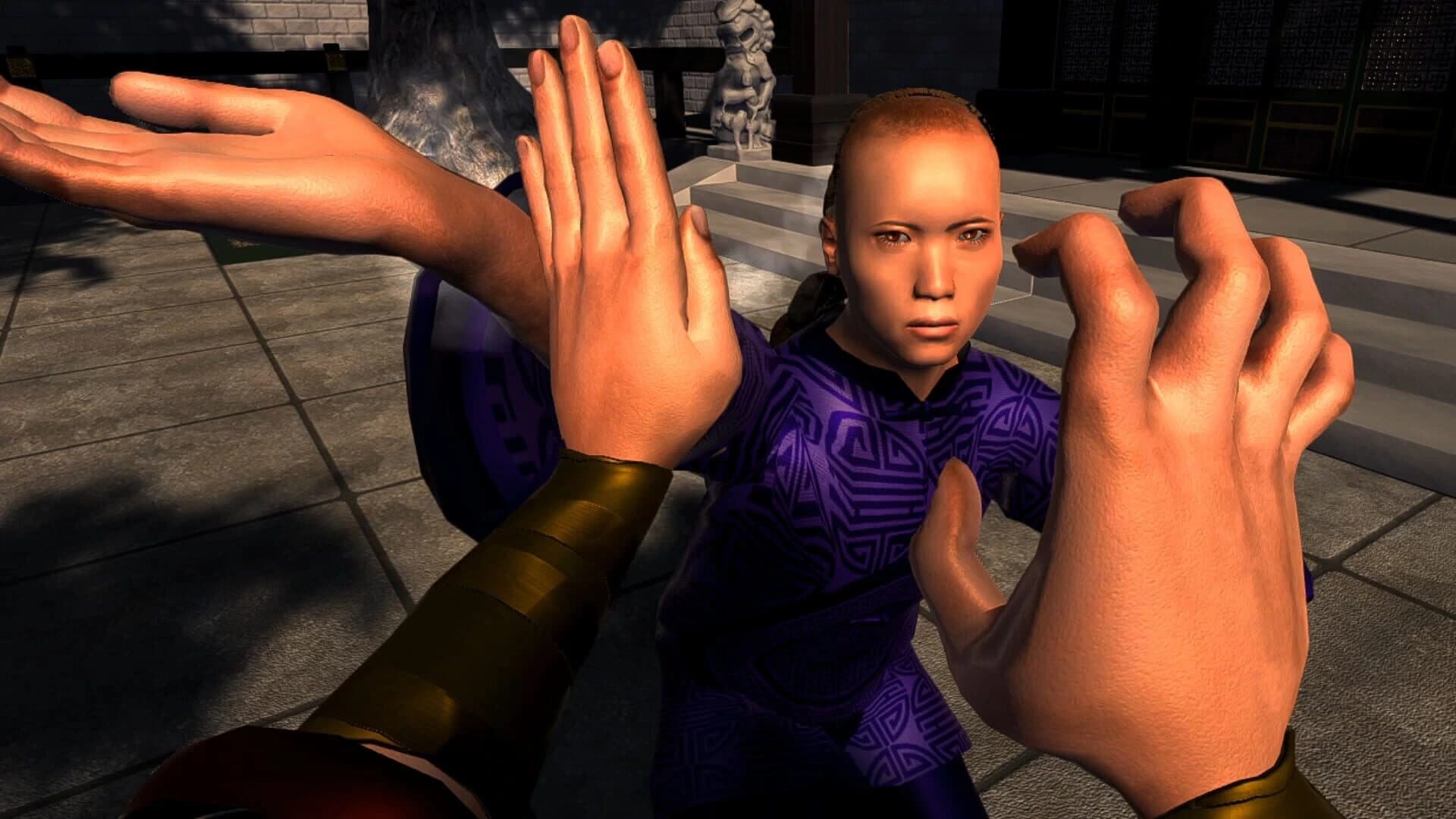 Dragon Fist: VR Kung Fu screenshot 2