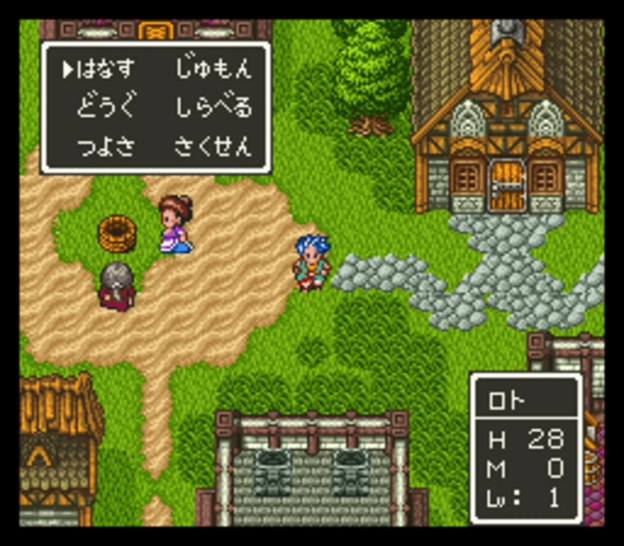 Dragon Quest VI: Maboroshi no Daichi screenshot 3