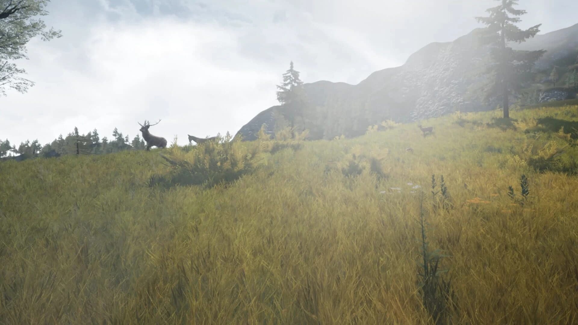 DragonHill VR screenshot 4