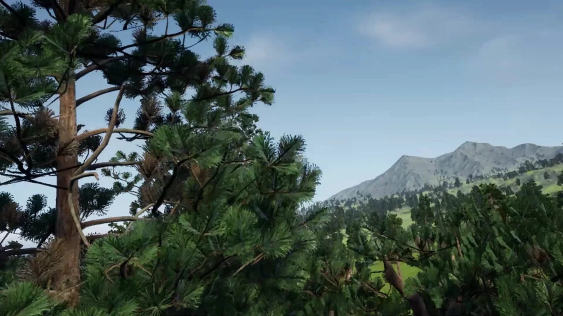 DreamFly screenshot 1