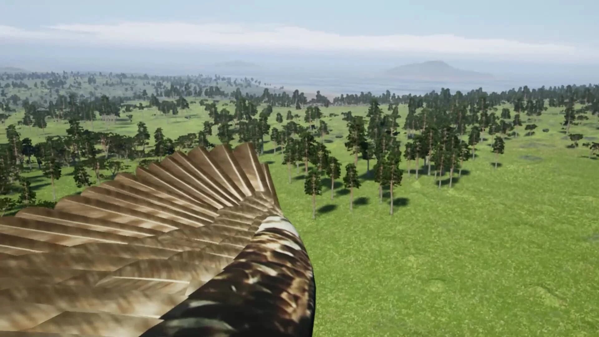DreamFly screenshot 5