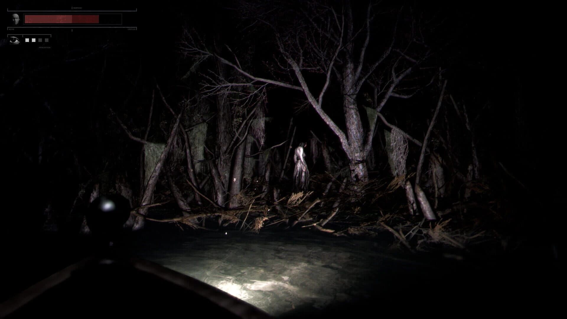 Drowned Lake screenshot 3