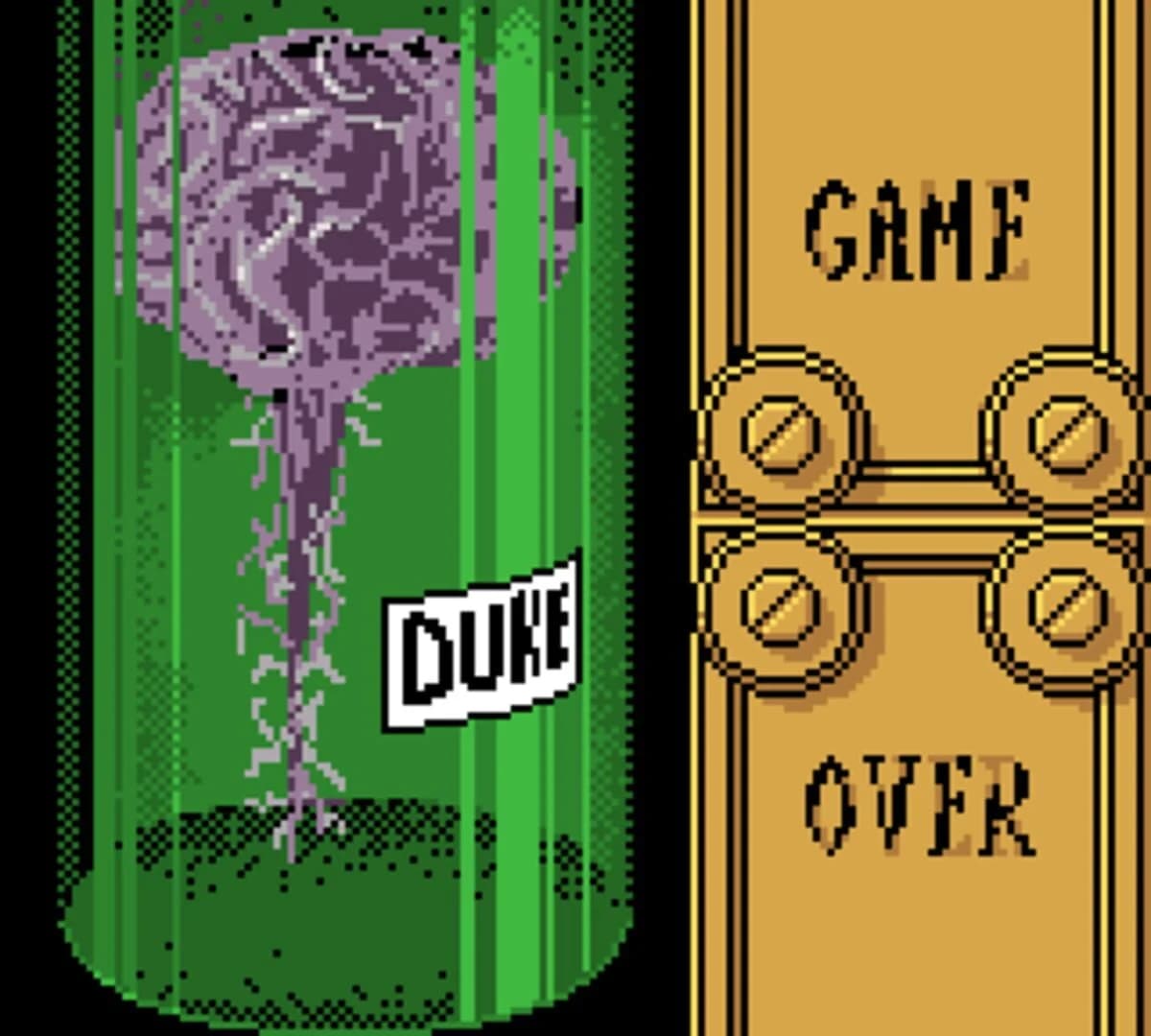 Duke Nukem screenshot 2