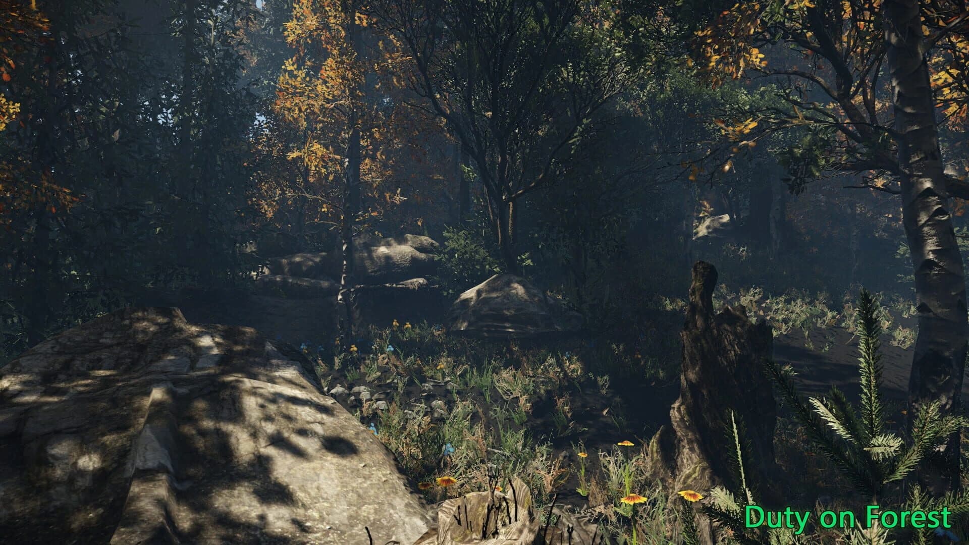 Duty on Forest screenshot 5
