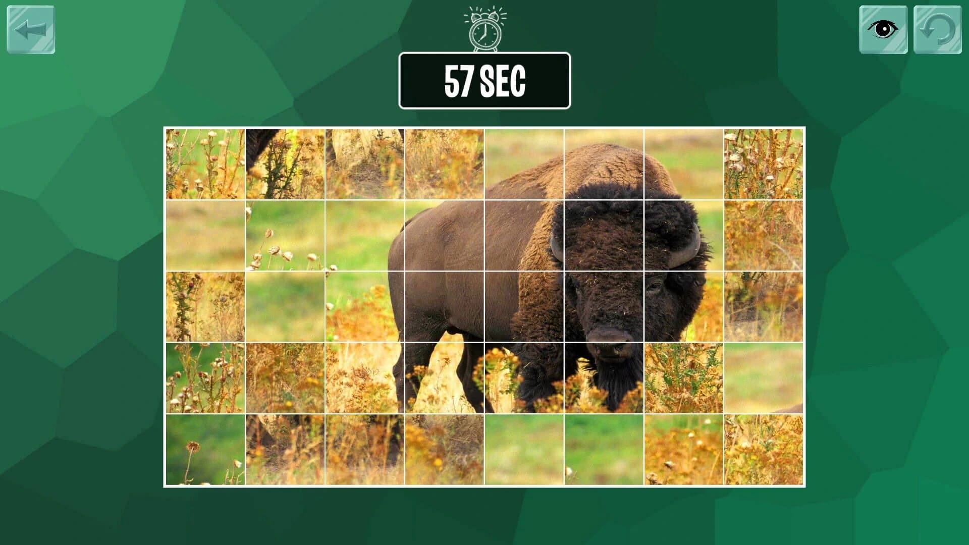 Easy puzzle: Animals 2 screenshot 2