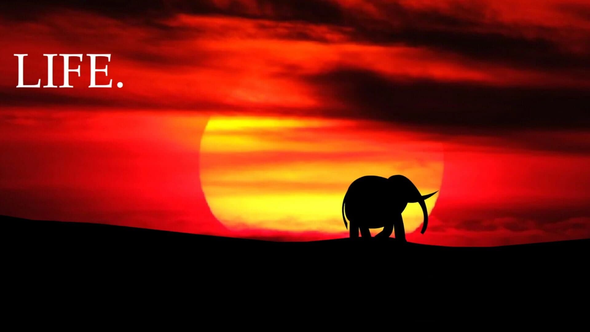 Elephant Rave 2 screenshot 5