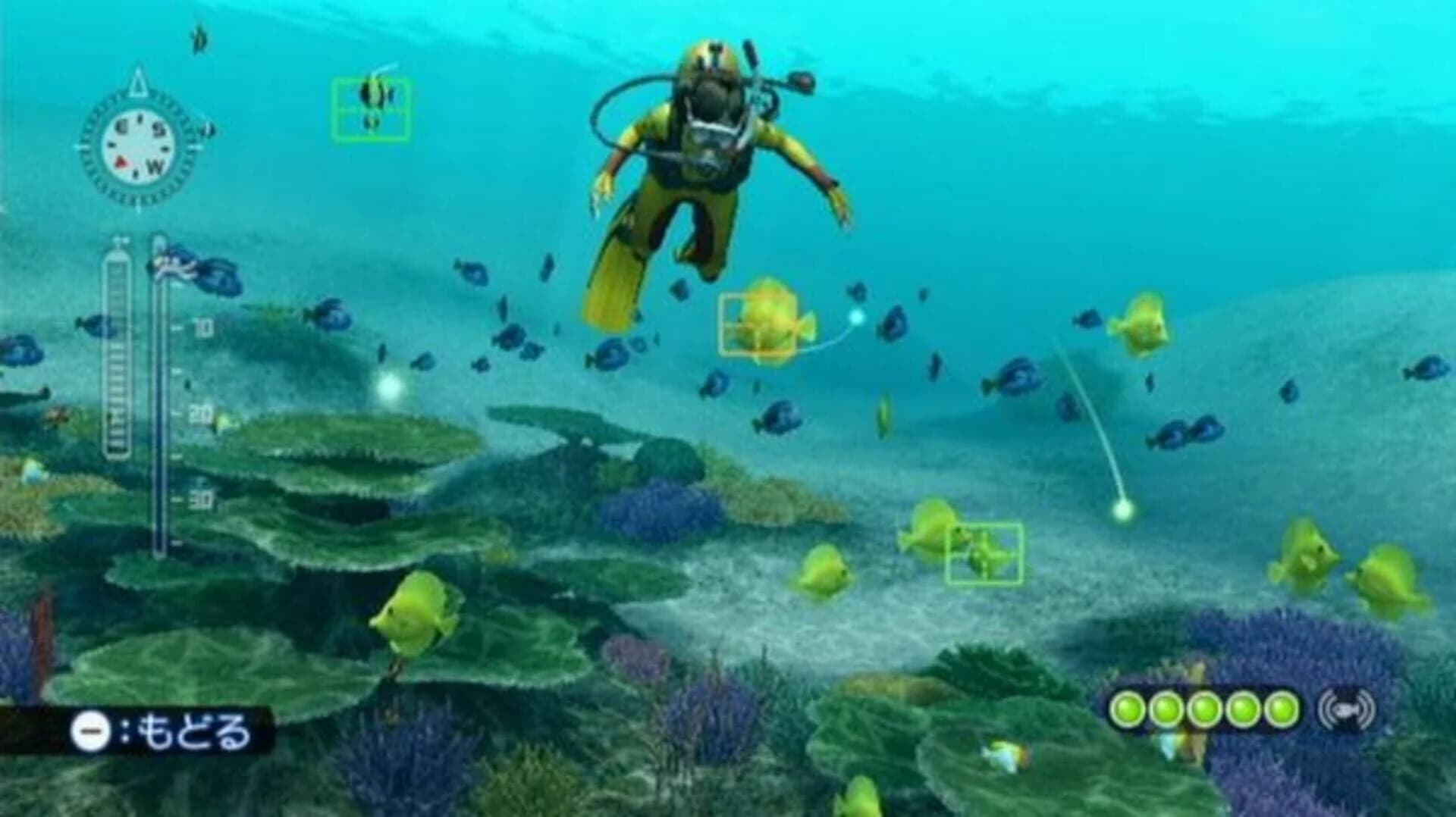 Endless Ocean: Blue World screenshot 2