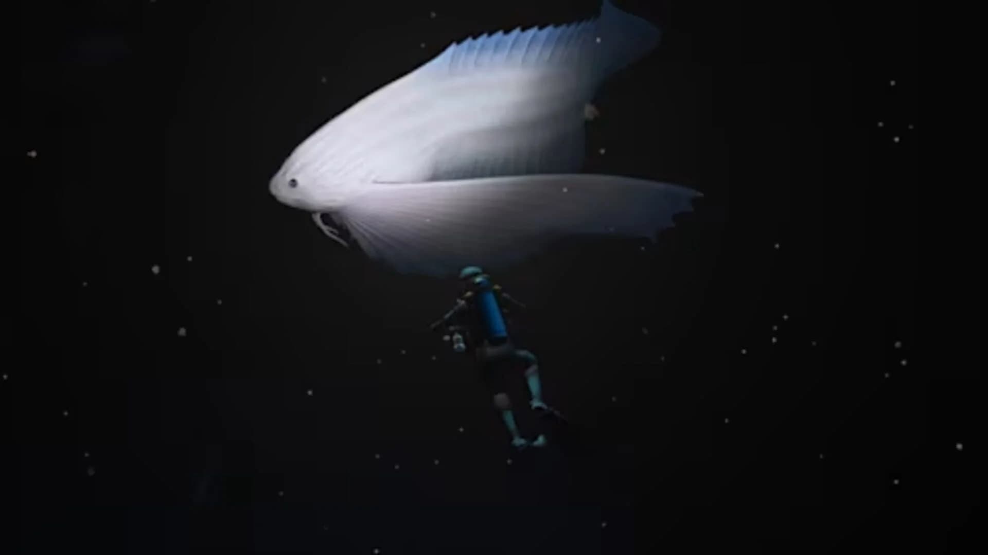 Endless Ocean: Luminous screenshot 4