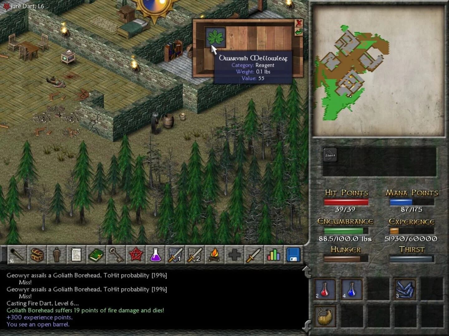 Eschalon: Book II screenshot 5