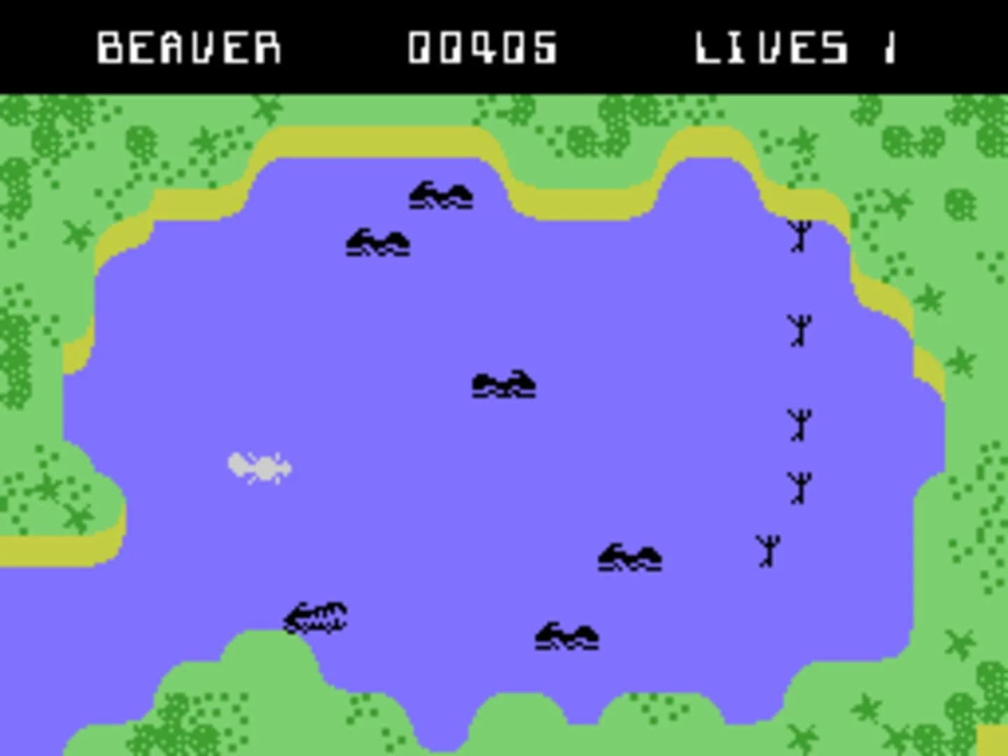 Evolution screenshot 3