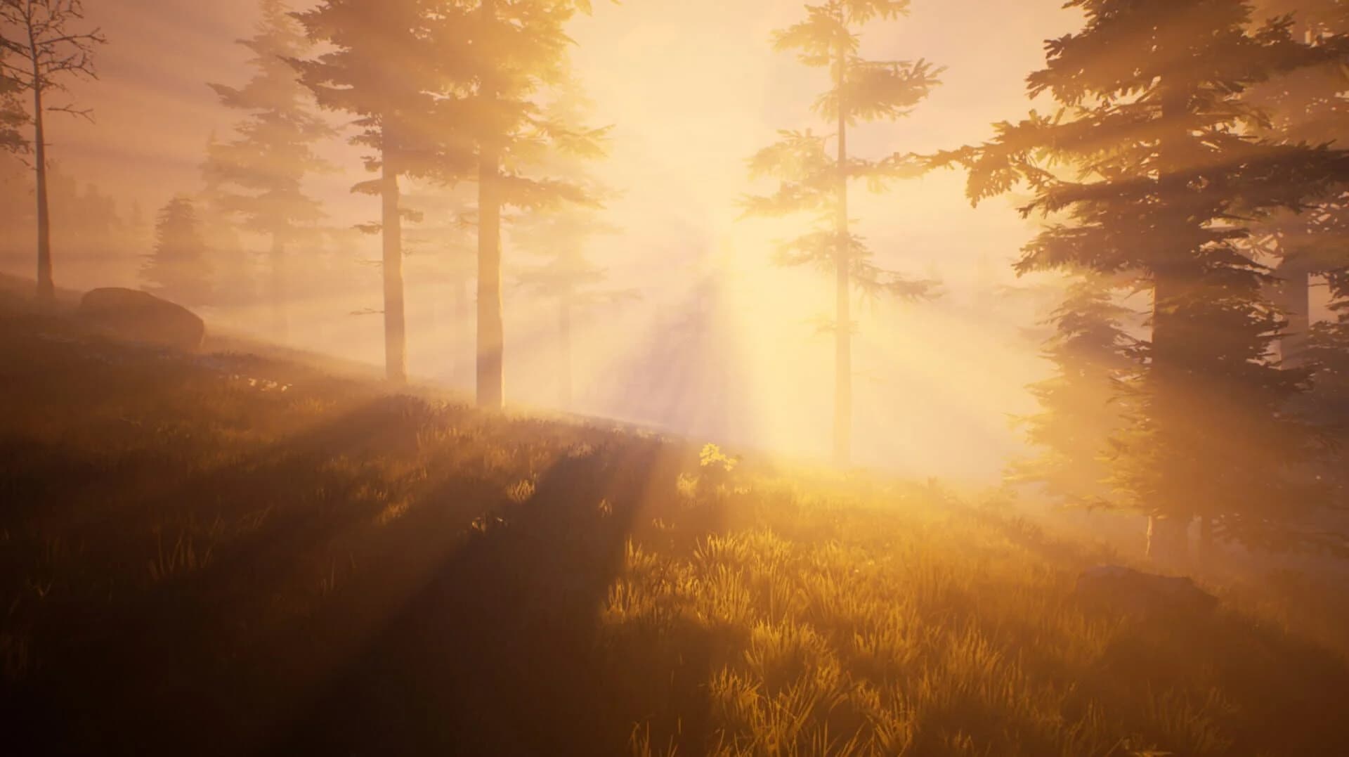 Fallen Region screenshot 4