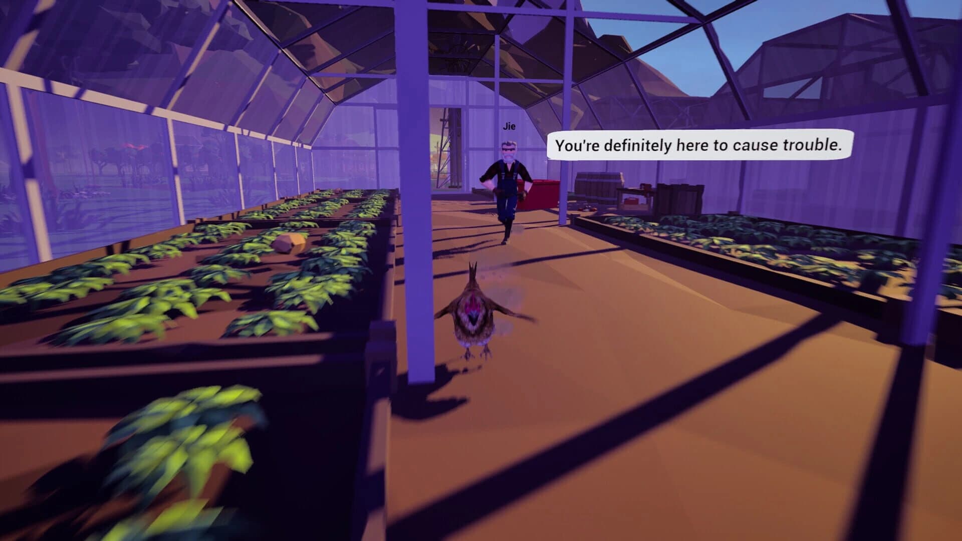 Farm Chicken screenshot 5