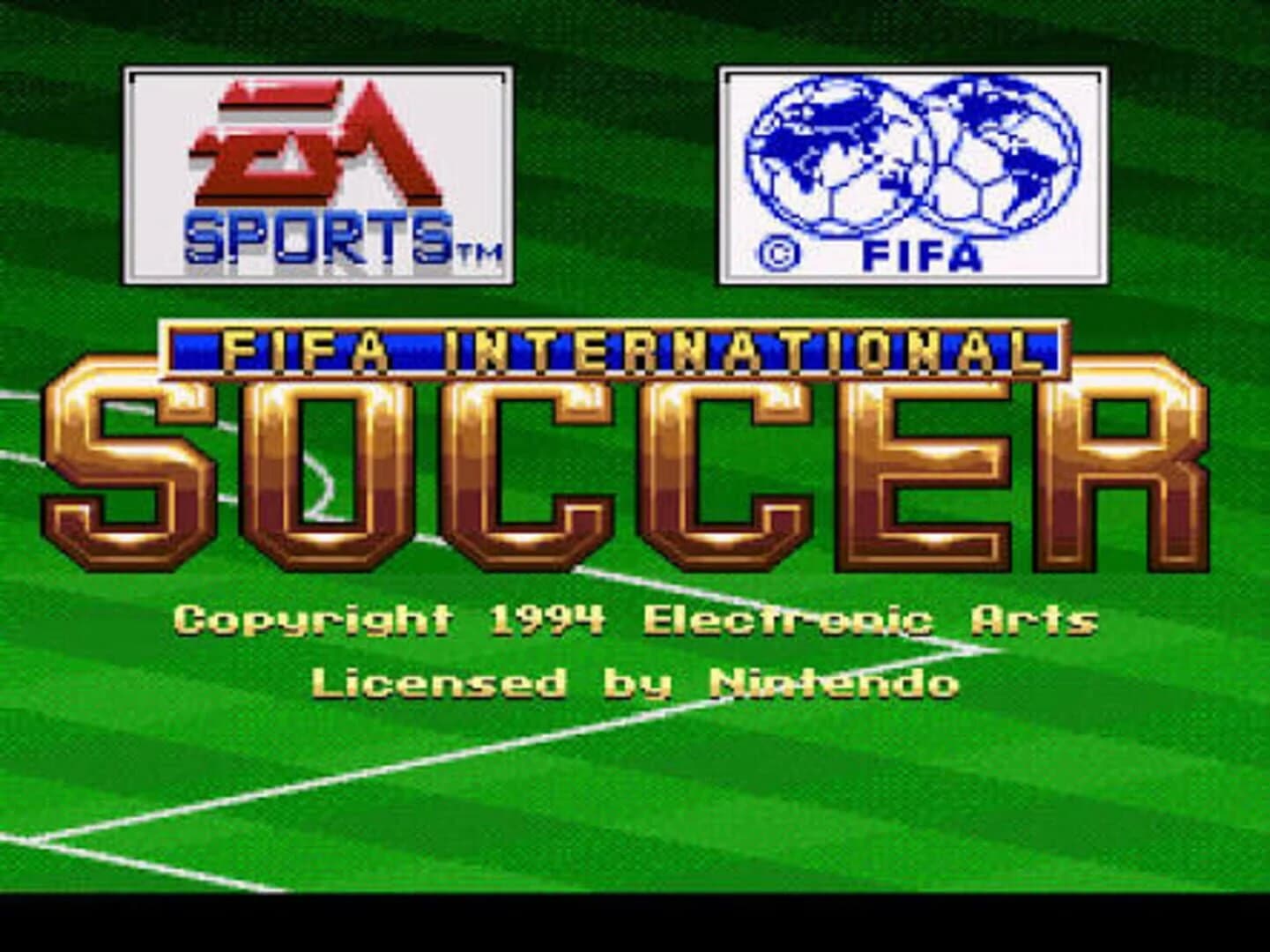 FIFA International Soccer screenshot 3