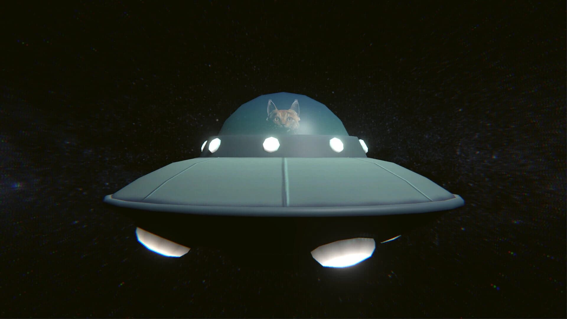 Finding Cats screenshot 5