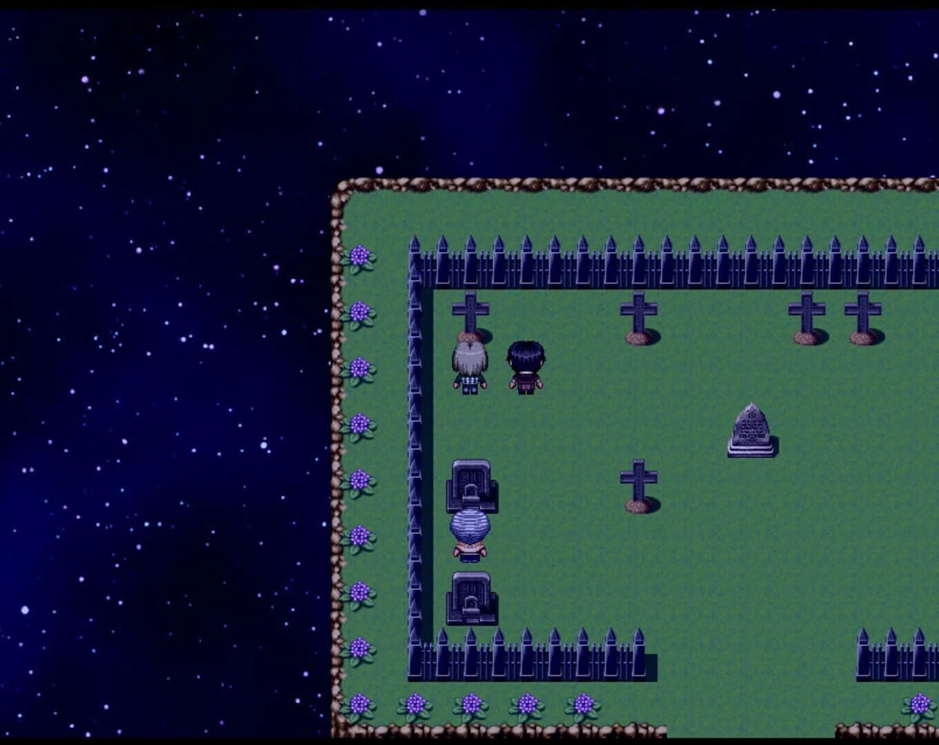 Fir Flowers and Hyacinths screenshot 3