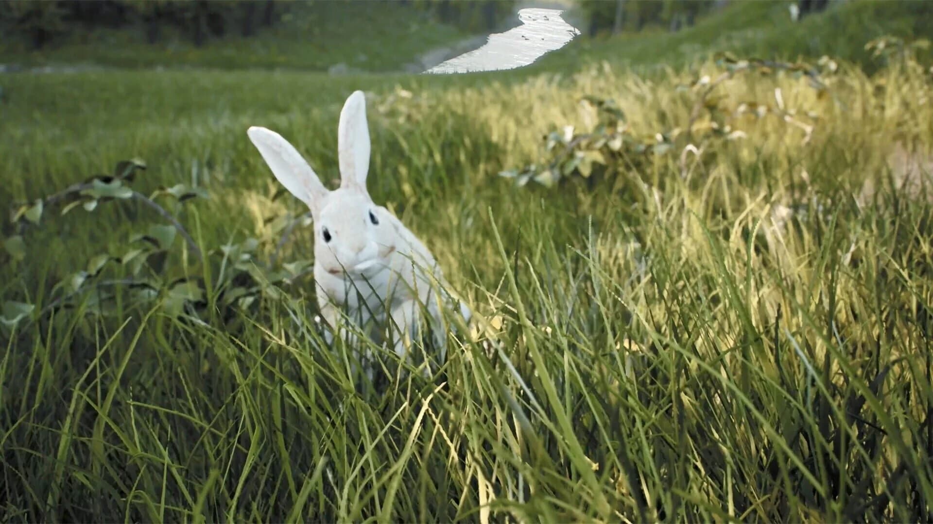 Fire: The First Dreamer screenshot 1