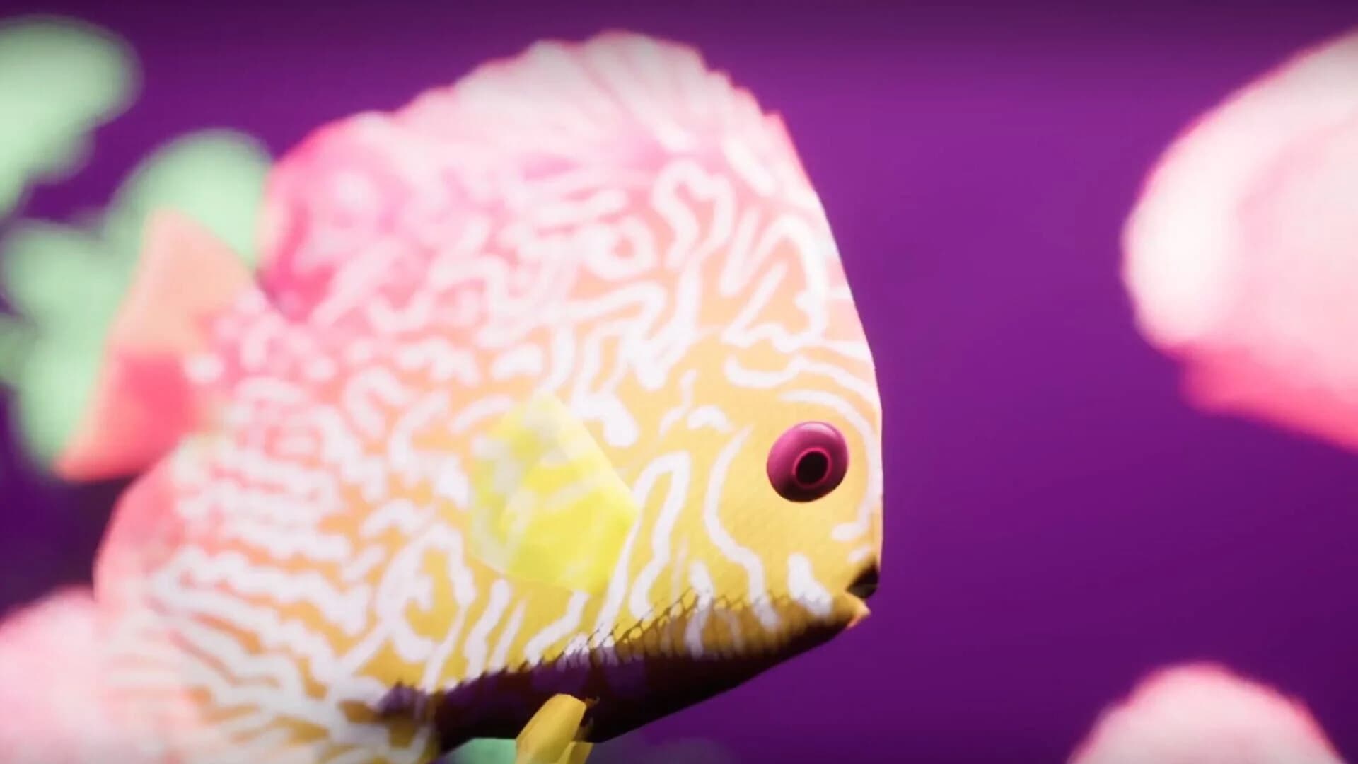 Fish Game screenshot 3