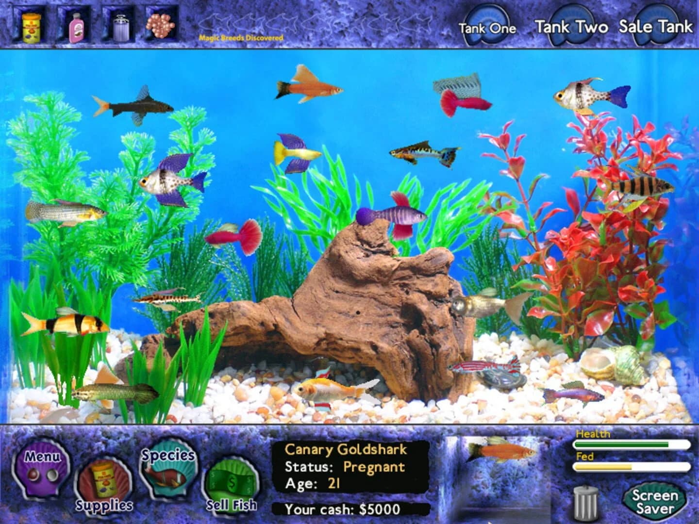 Fish Tycoon screenshot 3