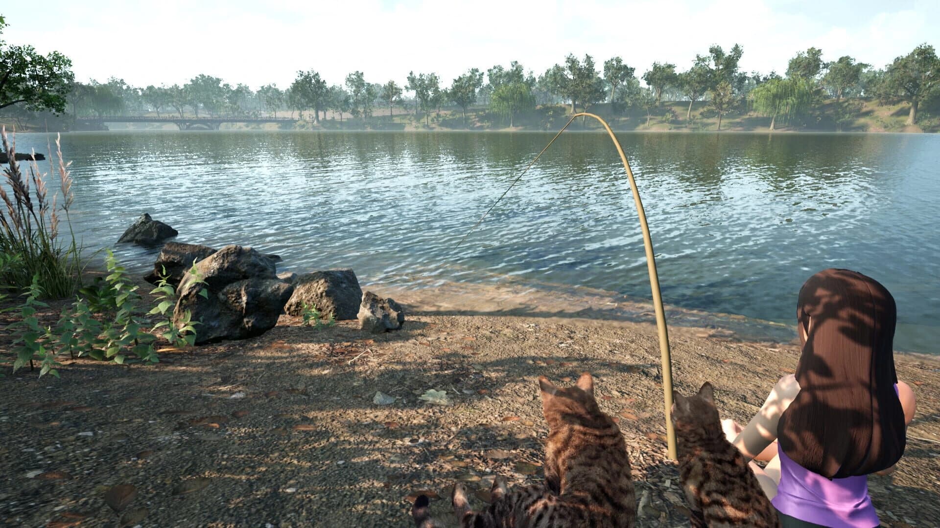 Fishing For Cats screenshot 2