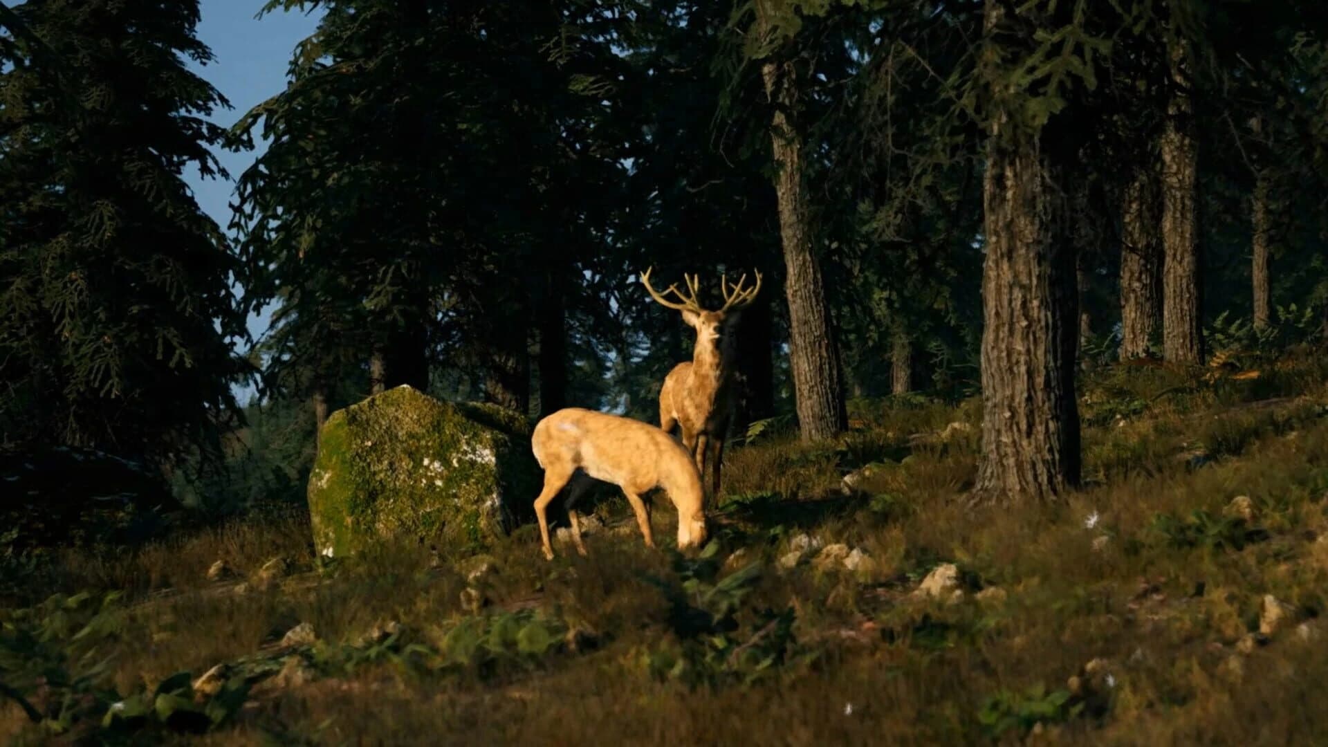 Flex Disc Golf screenshot 3