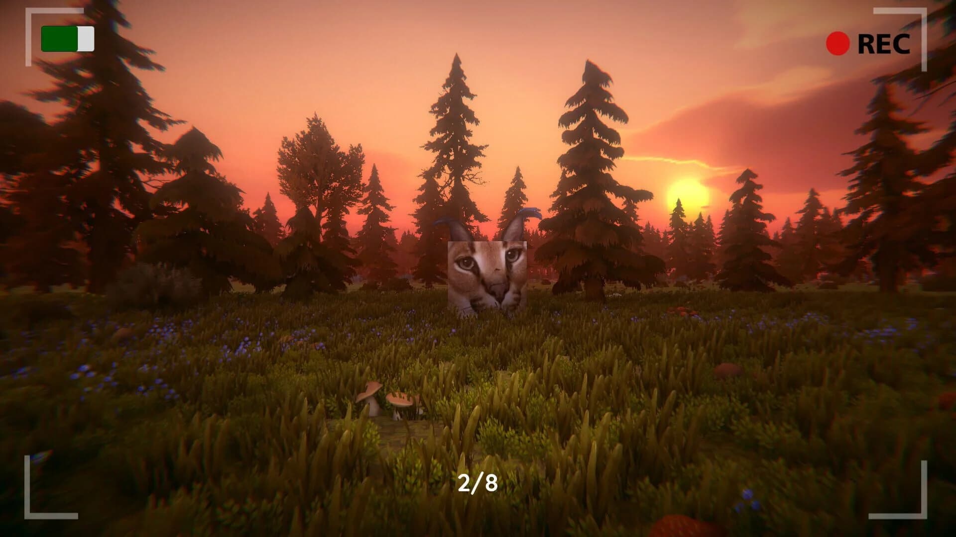 Floppa: The Dark Forest screenshot 3