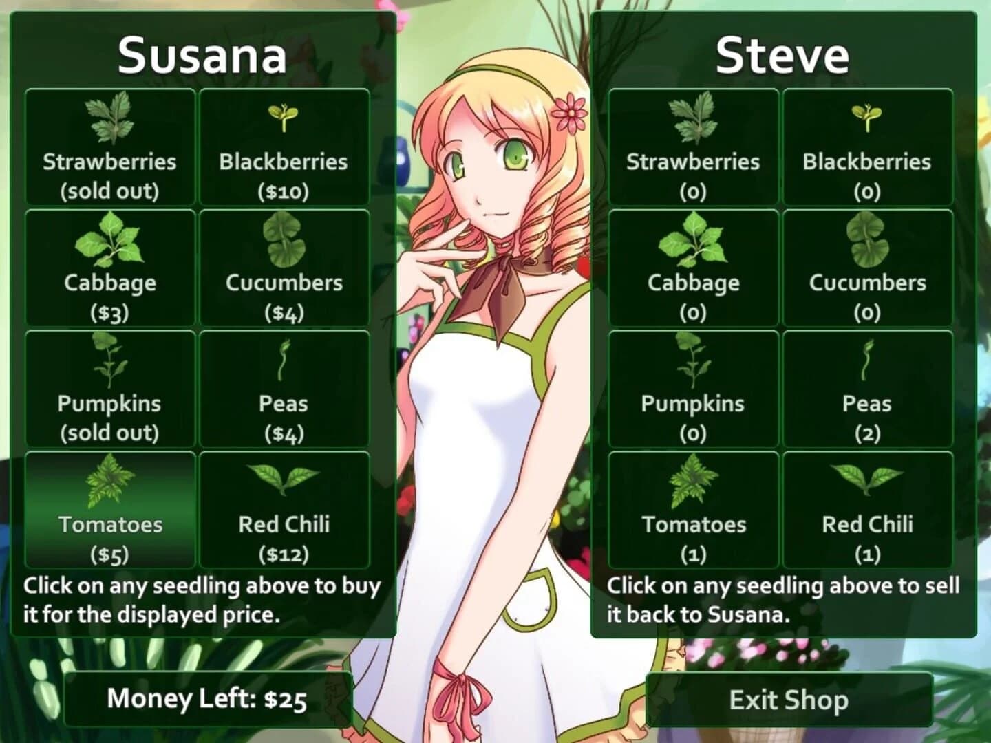 Flower Shop: Summer In Fairbrook screenshot 3