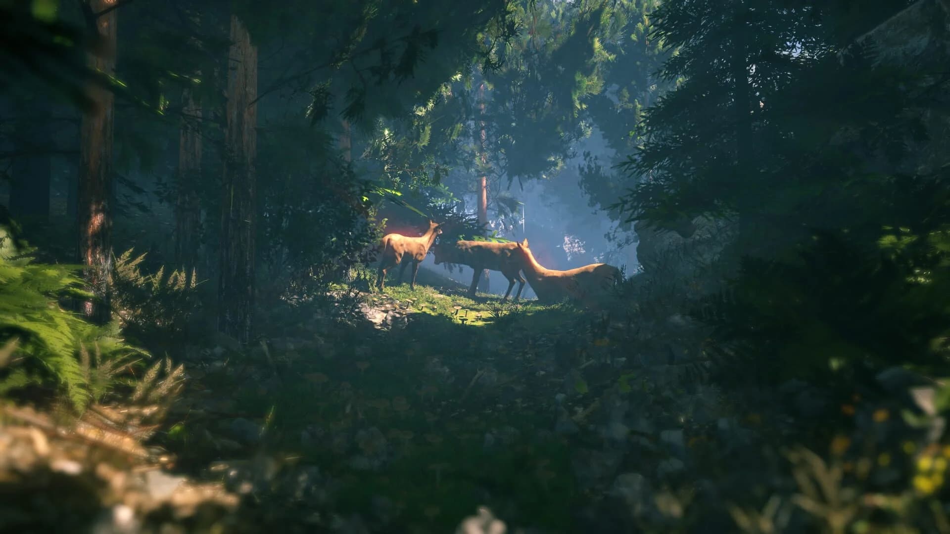 FlowScape screenshot 5