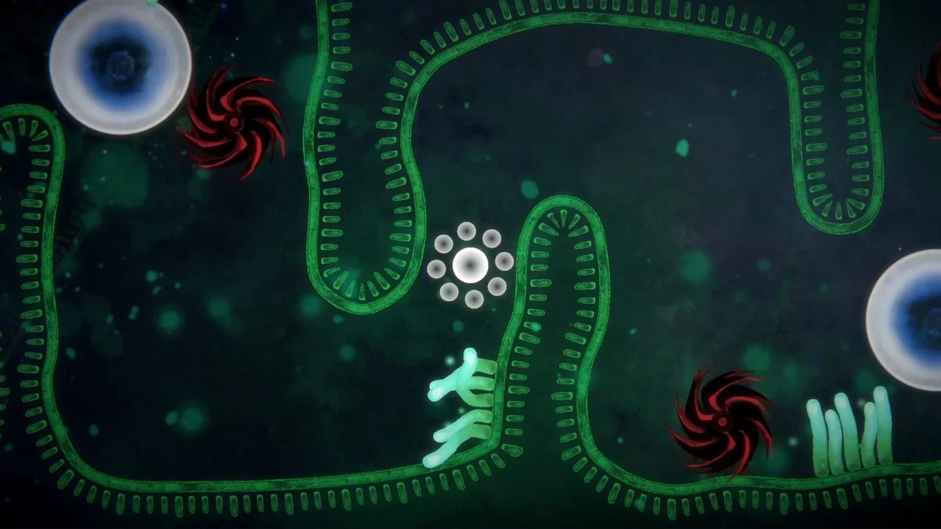 Focus Find screenshot 2