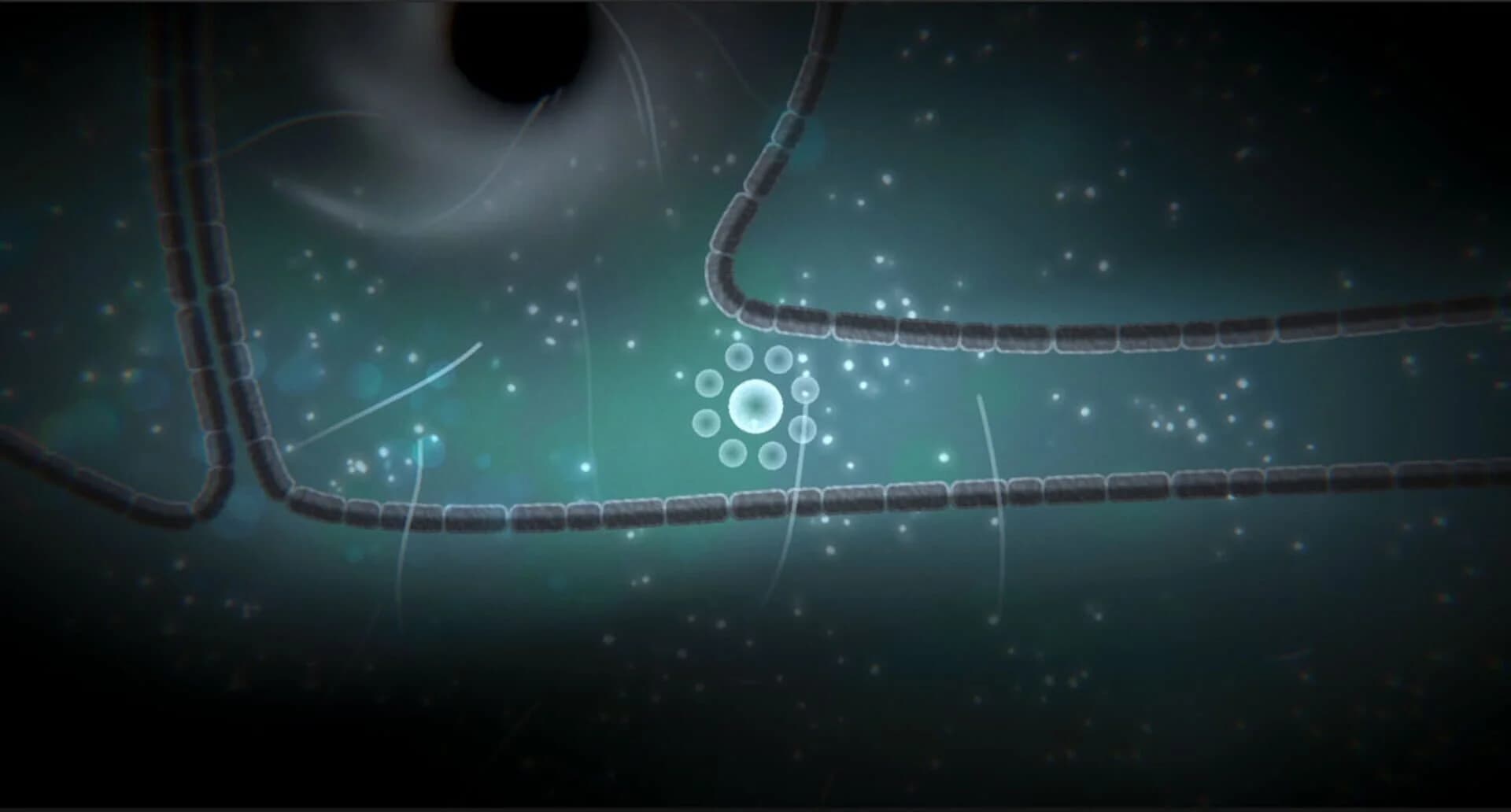 Focus Find screenshot 4