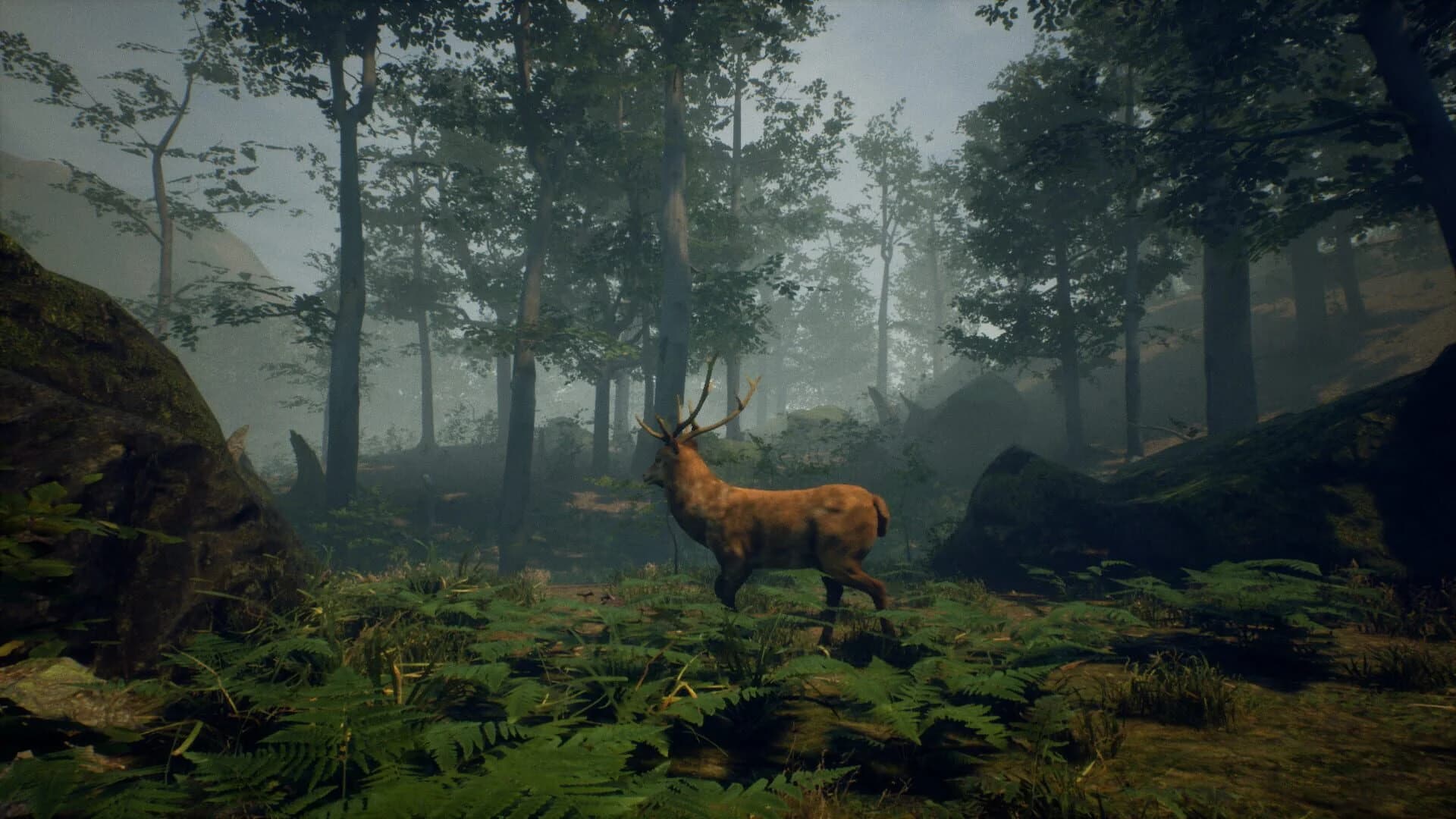 Folklore Hunter screenshot 4